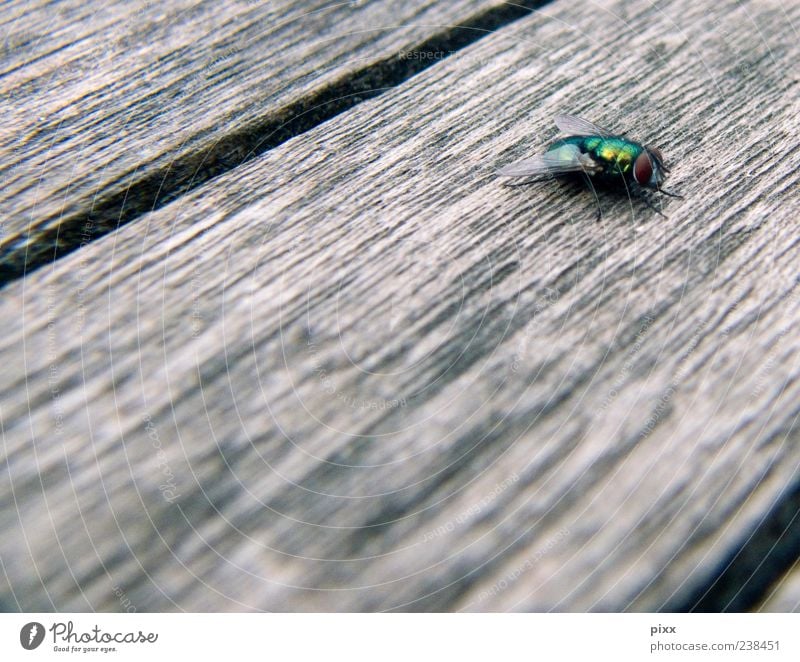 Das Sandm Nnchen Erwacht Ein Lizenzfreies Stock Foto Von Photocase