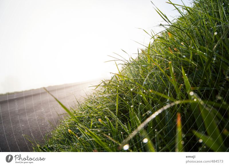 Lens Flare Umwelt Natur Ein Lizenzfreies Stock Foto Von Photocase