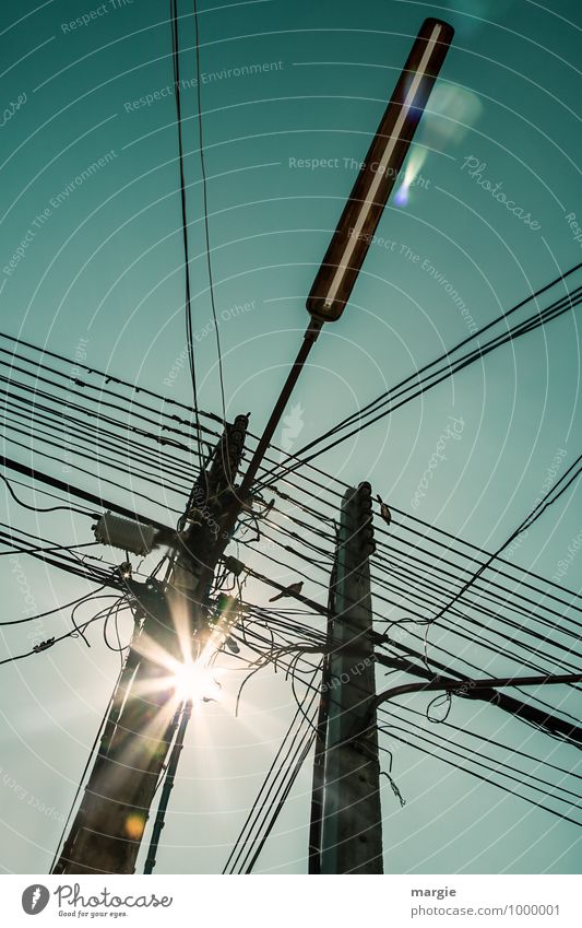 Stromkabel und Leitungen auf Masten, Vögel und eine Straßenlaterne Kabel Technik & Technologie Fortschritt Zukunft Telekommunikation Informationstechnologie