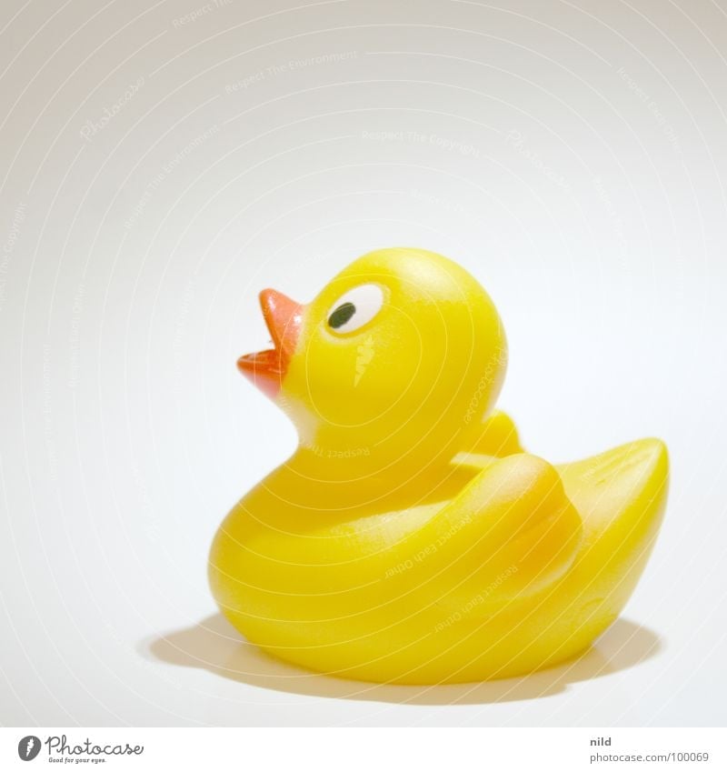 Photoshop Lektion 3: Freistellen Freisteller Gummi Spielzeug gelb Vogel Vor hellem Hintergrund Ente Kindheit Badeente Textfreiraum oben Profil Objektfotografie