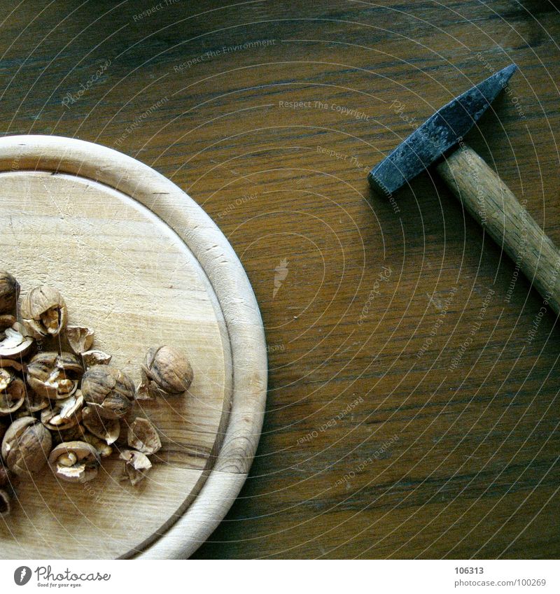 JETZT GIBT'S WAS AUF DIE NUSS Nuss brechen Holz Tisch Haselnuss Ernährung zerschlagen Kraft Nussknacker normal Werkzeug Gehirn u. Nerven hart robust klopfen Nut