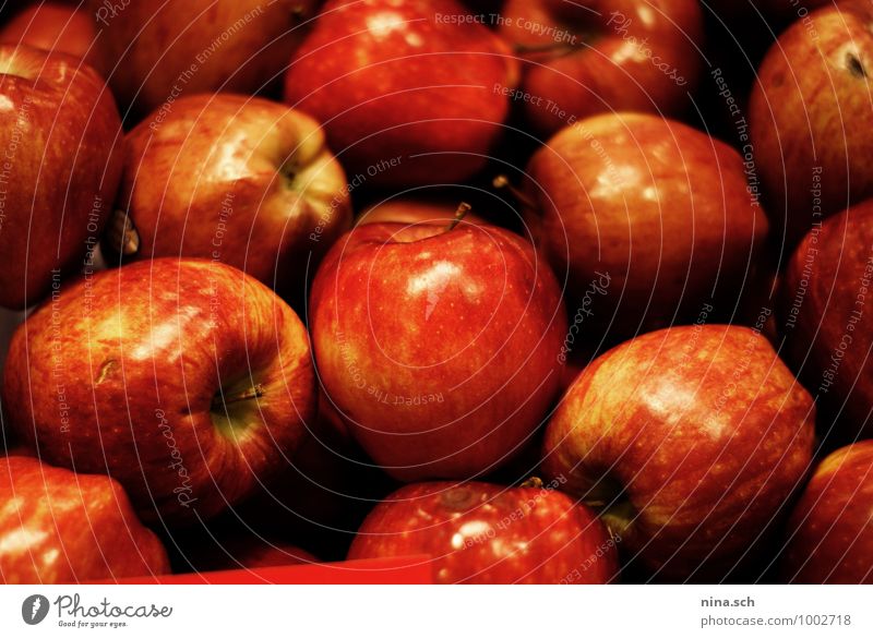 rote Äpfel Lebensmittel Apfel Ernährung Essen Frühstück Picknick Bioprodukte Diät kaufen Gesundheit Gesundheitswesen Gesunde Ernährung Natur verkaufen exotisch