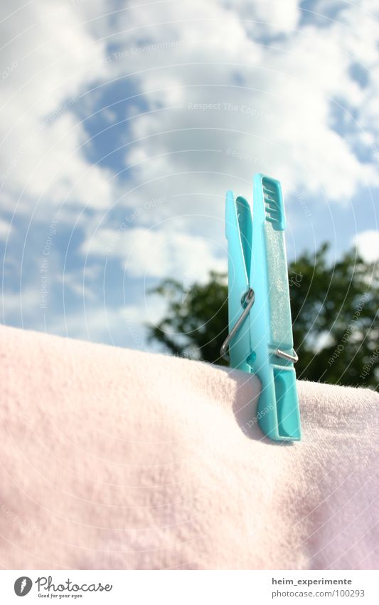 3-Wetter-Haft! Sommer Wäscheklammern Frühling Wolken trocknen trocken Klammer Bekleidung rosa Sonnenstrahlen Haushalt Himmel Wind blau Wäsche waschen Waschtag