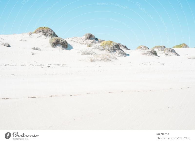 307 [surreale landschaft] Sommer Strand wandern Umwelt Natur Landschaft Sand Wolkenloser Himmel Schönes Wetter Wärme Gras Sträucher Hügel Küste ästhetisch