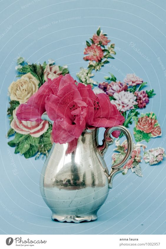 blumenstillleben Natur Pflanze Blume Dekoration & Verzierung Blumenstrauß Kitsch Krimskrams verblüht ästhetisch blau mehrfarbig rosa silber altehrwürdig