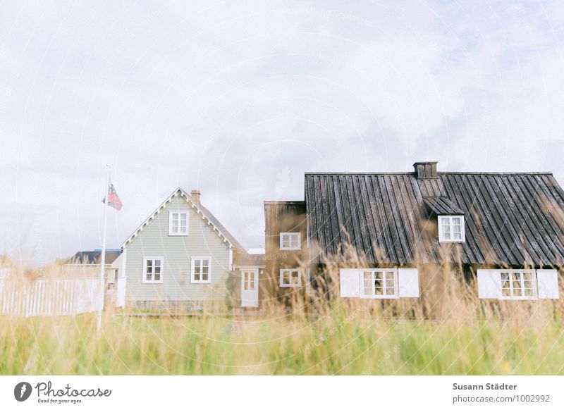 Island Countryside Dorf Dorfidylle Gräser Haus Sonnenlicht Außenaufnahme Farbfoto Menschenleer Horizont Straße Gebäude spießig