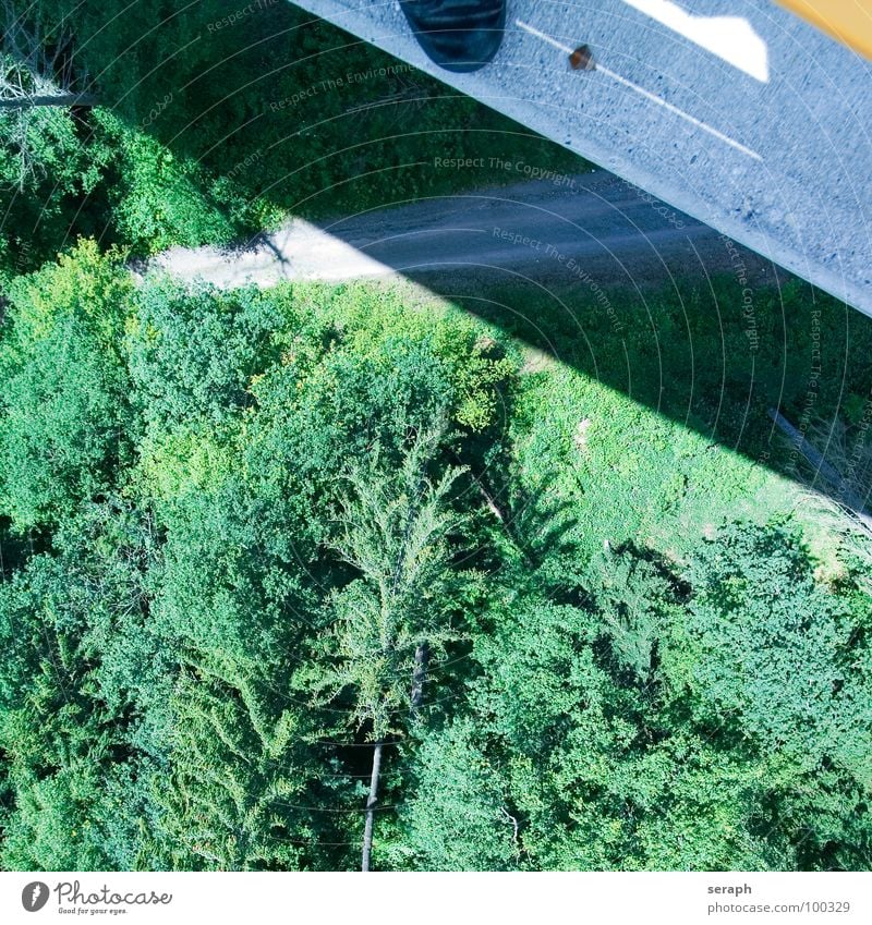 Brücke springen Luft Baum Wald Rand Baumkrone Tanne Nadelwald Wiese Lärche Beton Asphalt gefährlich Risiko gewagt Angst Höhenangst Flugangst Panik oben hoch