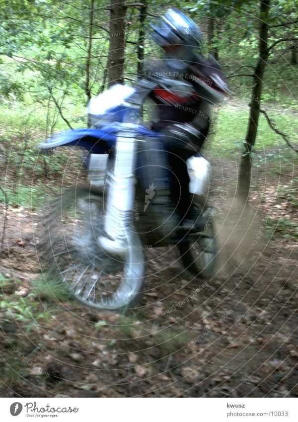 Speed im Wald Motorrad Geschwindigkeit grün Motorsport cross blau