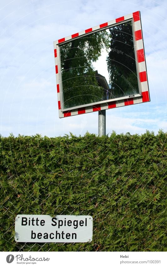 Bitte Spiegel beachten Hecke Warnschild rot weiß grün Reflexion & Spiegelung Spiegelbild rückwärts Autofahrer Warnhinweis Rückspiegel Schilder & Markierungen