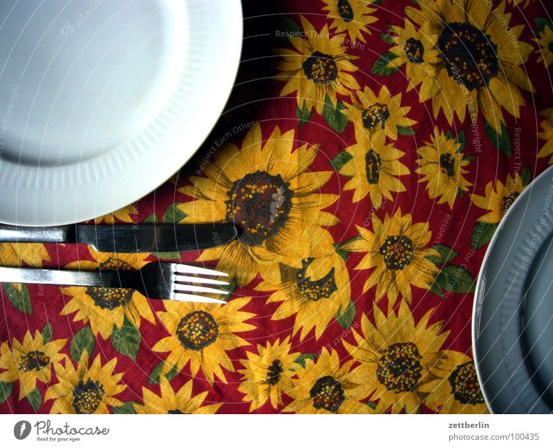Essbesteck {n} = cutlery Teller Gabel Besteck Tisch 8 Küche Ernährung Messer Tischwäsche