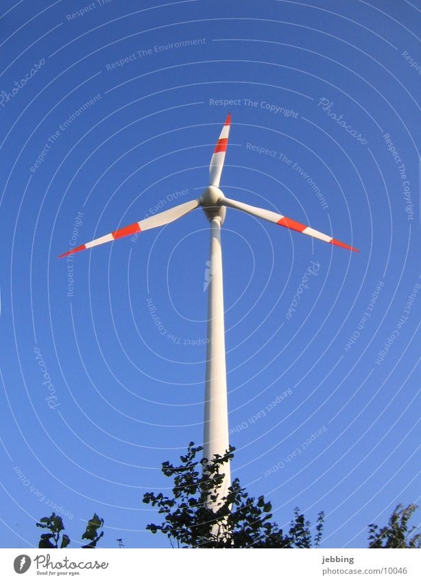 Windrad Mühle Elektrizität Elektrisches Gerät Windkraftanlage drehen Technik & Technologie Himmel blau Stromkraftwerke elektric Kabel Energiewirtschaft Flügel