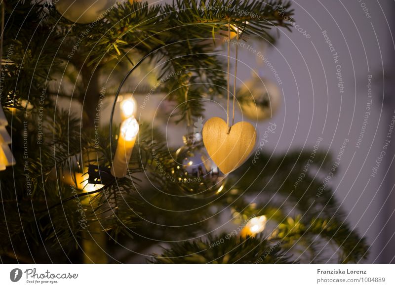 lights Wohnung Dekoration & Verzierung Wohnzimmer Weihnachten & Advent Winter Pflanze Baum Wärme Fröhlichkeit Zufriedenheit Warmherzigkeit Liebe ruhig Neugier