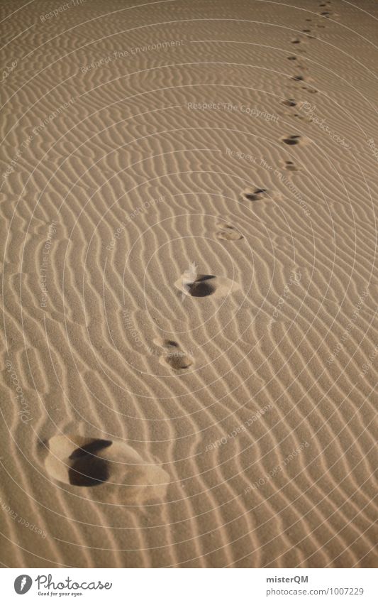 Wüstentod. Umwelt Natur ästhetisch Fußspur Sand Sahara Spuren Zeit Vergangenheit Vergänglichkeit Muster Strukturen & Formen Farbfoto Gedeckte Farben