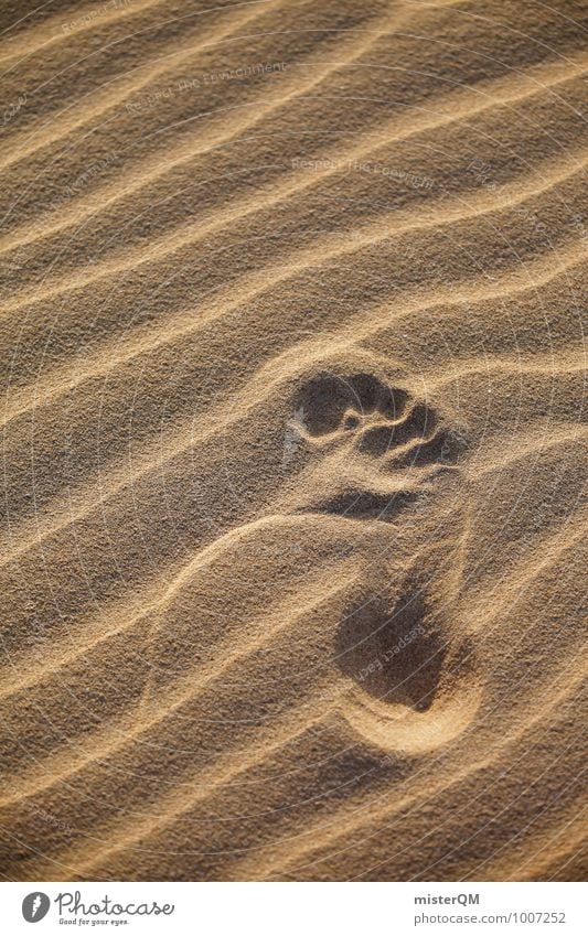 Step. Umwelt Natur Landschaft ästhetisch Zufriedenheit Fußspur Sandstrand Wüste Wärme Sommer Sommerurlaub sommerlich Stranddüne Mensch Farbfoto Gedeckte Farben