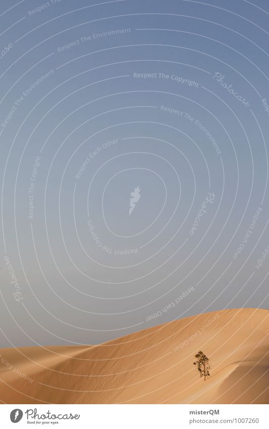 Überlebenskünstler I Kunst ästhetisch Symbole & Metaphern Stranddüne Wüste Sand Wärme Sahara Wachstum Wüstenpflanze Blauer Himmel Sommerurlaub Farbfoto