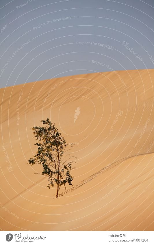 Überlebenskünstler III Umwelt Natur Landschaft Klima Klimawandel Schönes Wetter ästhetisch Wüste Düne Wachstum Sträucher Monopol Überlebenskampf