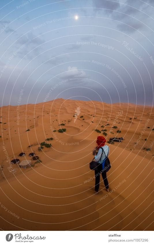 Wüste (6/10) Sand Düne Wärme Ferien & Urlaub & Reisen Tourismus Naher und Mittlerer Osten Arabien Sahara 100 und eine Nacht Marokko Algerien Tunesien Abenteuer
