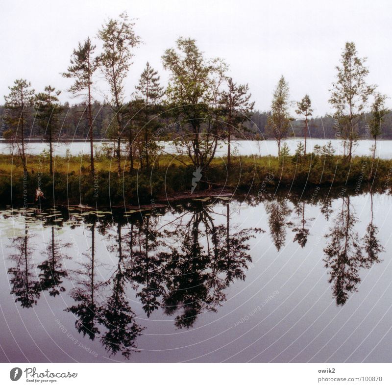 Tiveden Erholung ruhig Umwelt Natur Landschaft Pflanze Wasser Himmel Wolken Horizont Baum Sträucher Seeufer groß Gelassenheit geduldig Idylle Ferne Schweden