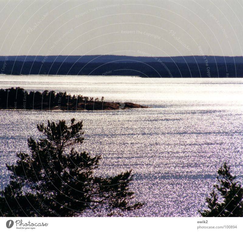 Schwedische Traumreise Sonne Sonnenbad Meer Umwelt Natur Landschaft Pflanze Wasser Wolkenloser Himmel Horizont Klima Wetter Schönes Wetter Baum Wald Küste Bucht