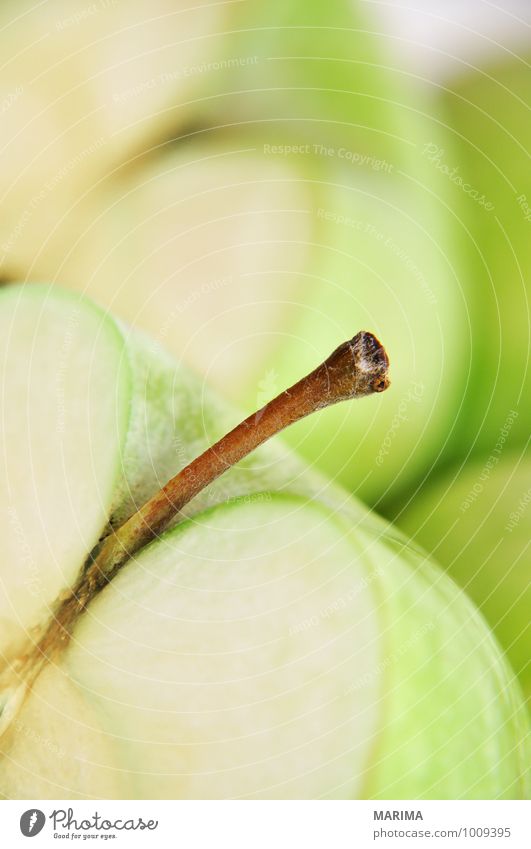 Detail of a green apple Lebensmittel Frucht Apfel Ernährung Vegetarische Ernährung Umwelt Natur frisch lecker grün Apfelschale apple skin aufgeschnitten sliced