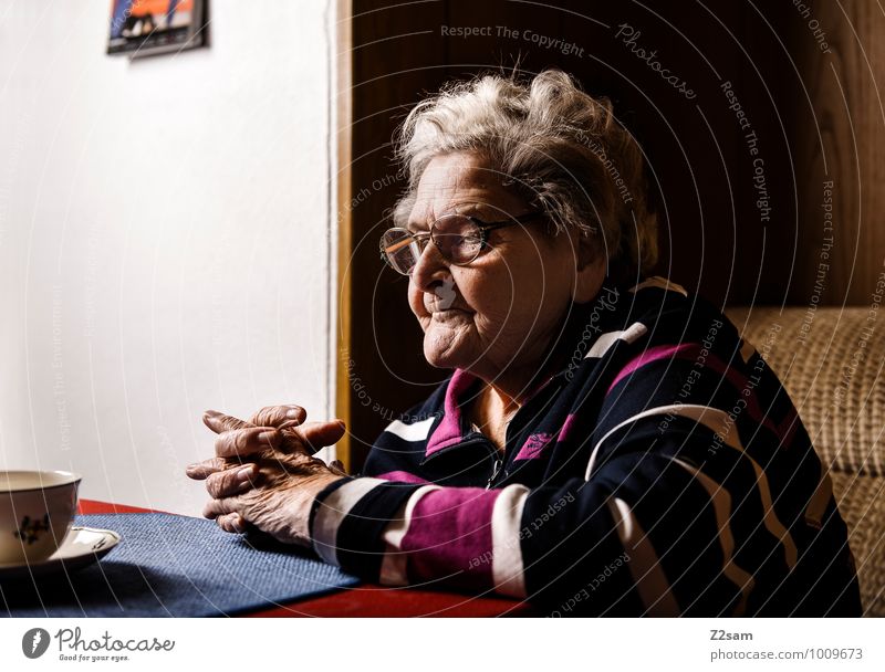 O M A feminin Weiblicher Senior Frau Großmutter 60 und älter Pullover Brille weißhaarig Denken träumen warten alt natürlich Vorsicht Gelassenheit ruhig Hoffnung