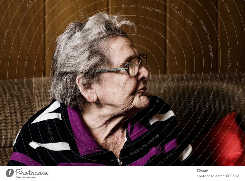 Omi Gesundheit Seniorenpflege feminin Weiblicher Senior Frau Großmutter 60 und älter Pullover Brille weißhaarig beobachten sitzen träumen alt Freundlichkeit