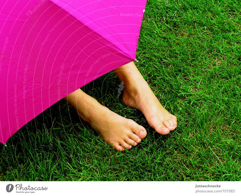 Verborgen rosa Gras grün Mensch Regen Sicherheit Regenschirm umbrella umbrellas verstecken hidden hide Versteck Fuß foot feet grass Garten garden geheimnisvoll
