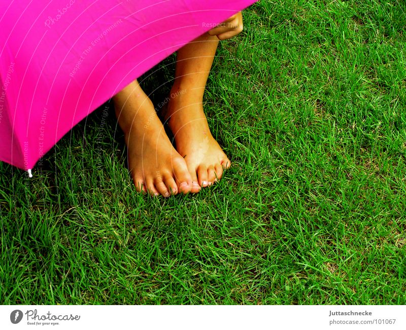 Verborgen II rosa Gras grün Mensch Regen Kind Regenschirm umbrella umbrellas verstecken hidden hide Versteck Fuß foot feet grass Garten garden geheimnisvoll