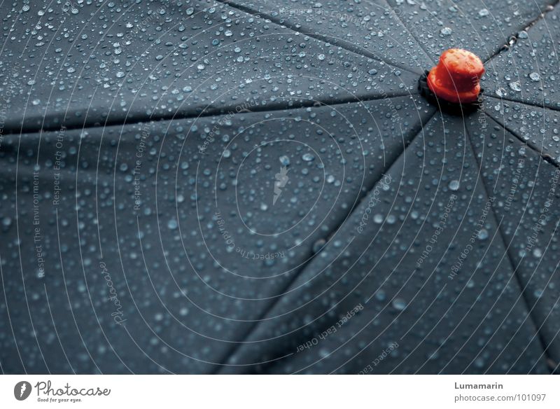 bad weather buzzer Regenschirm nass schlechtes Wetter tief stoppen Knöpfe Stock Strebe streben Stoff Bespannung Stern (Symbol) grau rot Gewitter Wasser