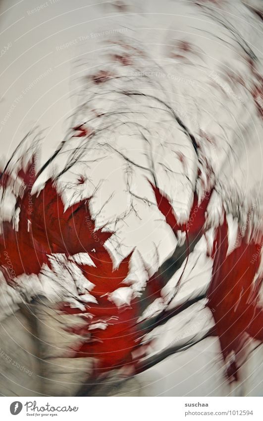 800 .. Umwelt Himmel Herbst Klima Sturm Pflanze Baum Blatt Dorf verrückt wild rot rotieren Dynamik drehen Politische Bewegungen Ast Farbfoto Außenaufnahme