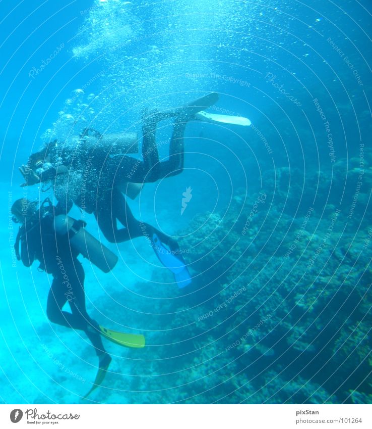 Deep Diving Meer Taucher tauchen Luftblase Korallen Wassersport blau Schwimmhilfe Fisch diving