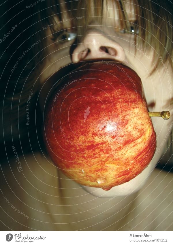 Apfel-Tauchen Spielen Frau Freude Wasser Luft anhalten beißen ohne Hände Schalen & Schüsseln Ernährung Frucht Adam und Eva Essen