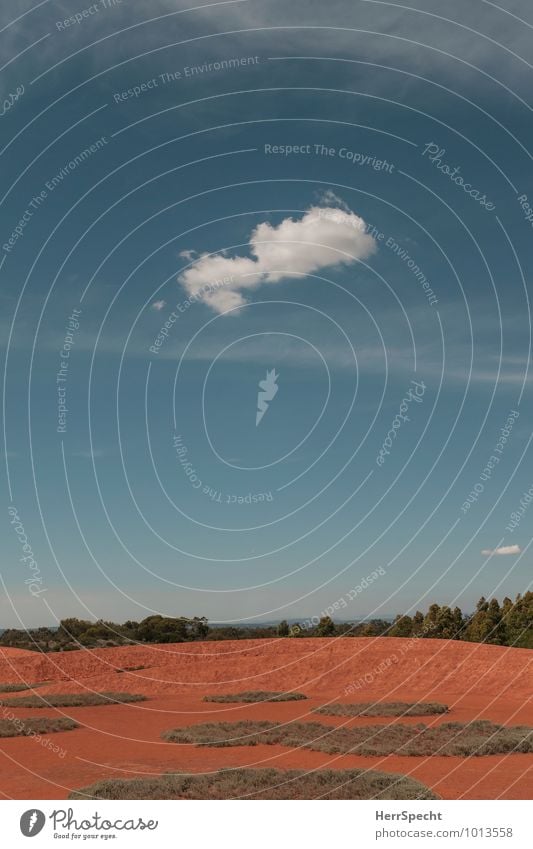 Lonely cloud Erde Sand Himmel Wolken Sommer Schönes Wetter Wärme Dürre Pflanze Baum Hügel Wüste Australien Menschenleer klein trocken blau rot weiß Klimawandel