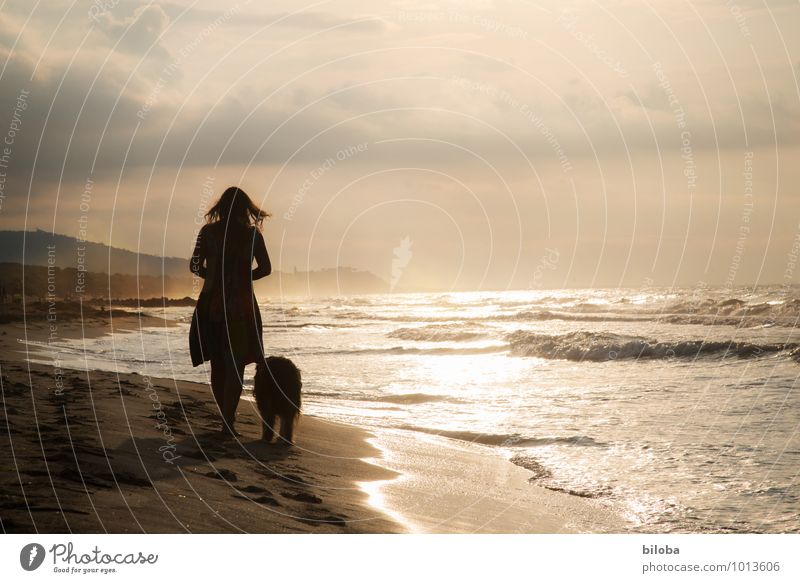Frau mit Hund entspannen sich bei Abendspaziergang am Strand Lifestyle Wellen harmonisch Wohlgefühl Zufriedenheit Erholung ruhig Duft Freizeit & Hobby Meer