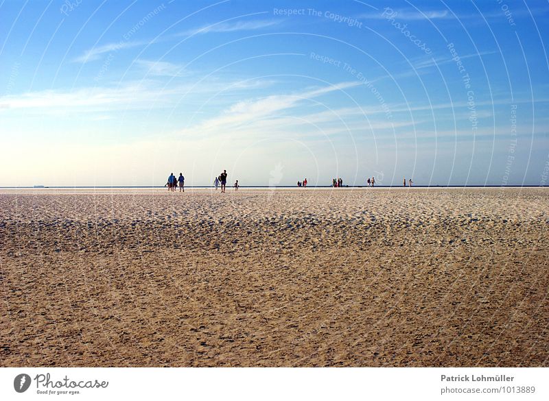 Strandwanderer Langeoog Mensch Erwachsene Körper Menschengruppe Natur Landschaft Sand Himmel Sommer Schönes Wetter Küste Nordsee Insel Ostfriesische Inseln