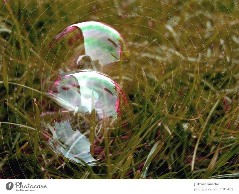 Double Bubble Seifenblase Sommer Regenbogen spektral glänzend rot gelb durchsichtig Spielen Kaleidoskop Reflexion & Spiegelung Lichtbrechung Lichtspiel Zwilling