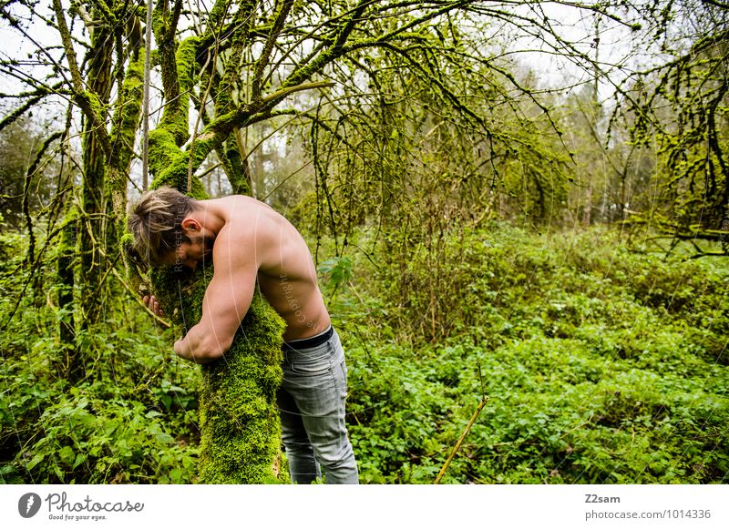 Naturverbunden maskulin Junger Mann Jugendliche 30-45 Jahre Erwachsene Umwelt Landschaft Sommer Herbst Schönes Wetter Baum Sträucher Moos Wald Hose blond