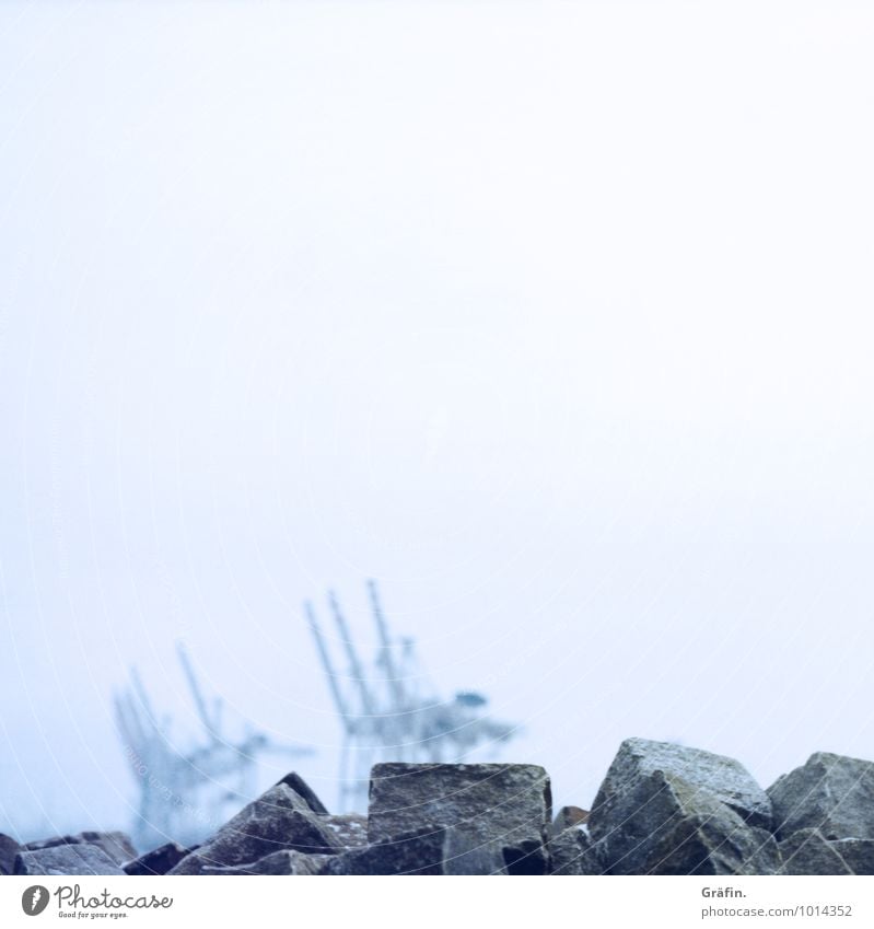 Nebelkrä(h)ne Industrie Winter schlechtes Wetter Regen Flussufer Hafenstadt Menschenleer Schifffahrt maritim blau grau Leistung Perspektive