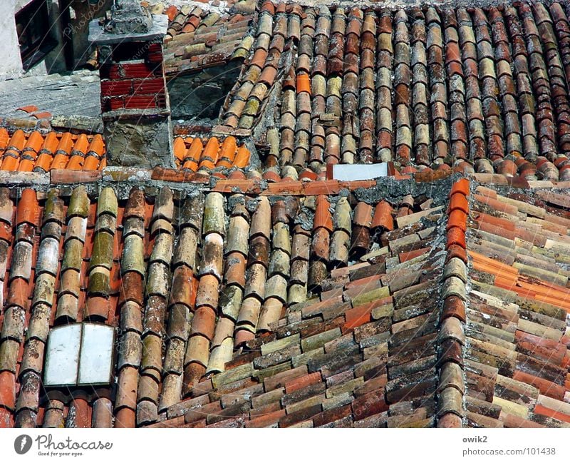 Kroatische Dächer Haus Kleinstadt Altstadt bevölkert Gebäude Dach Schornstein alt einfach historisch oben Stadt viele rot Idylle Dachziegel Dachfenster