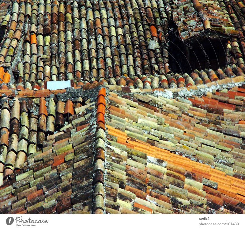 Kroatische Dächer II Dorf Kleinstadt Altstadt bevölkert Haus Architektur Dach Schornstein alt historisch viele orange rot Idylle Dachfirst Kroatien Südeuropa