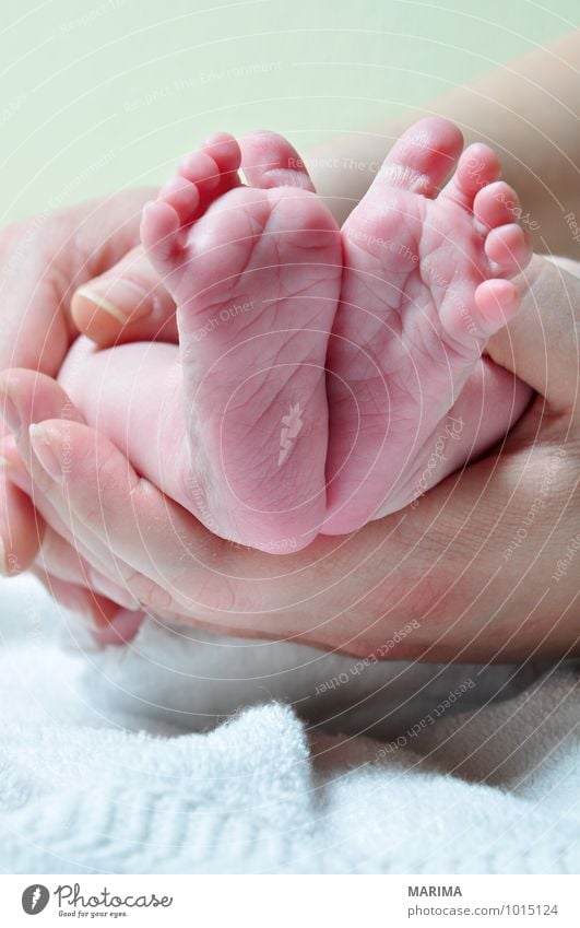 Close Up Of Baby Feet Ein Lizenzfreies Stock Foto Von Photocase