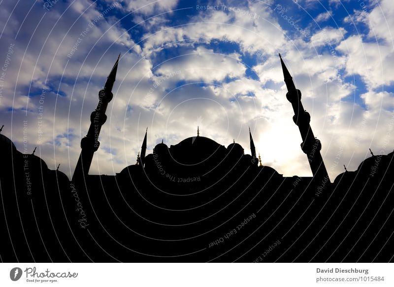 Moschee Ferien & Urlaub & Reisen Tourismus Ferne Sightseeing Städtereise Stadt Kirche Sehenswürdigkeit Wahrzeichen blau gelb schwarz weiß Krieg Krise Istanbul