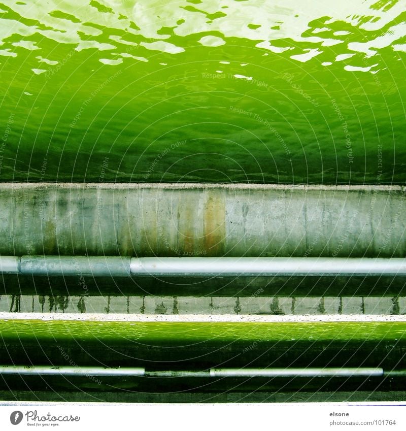 mr green Teich Gift Säure Gewässer nass dreckig grün Beton Brunnen Quadrat Stuttgart Dresden Riesa Verbote verfallen Fluss Bach Wasser Flüssigkeit nicht sauber