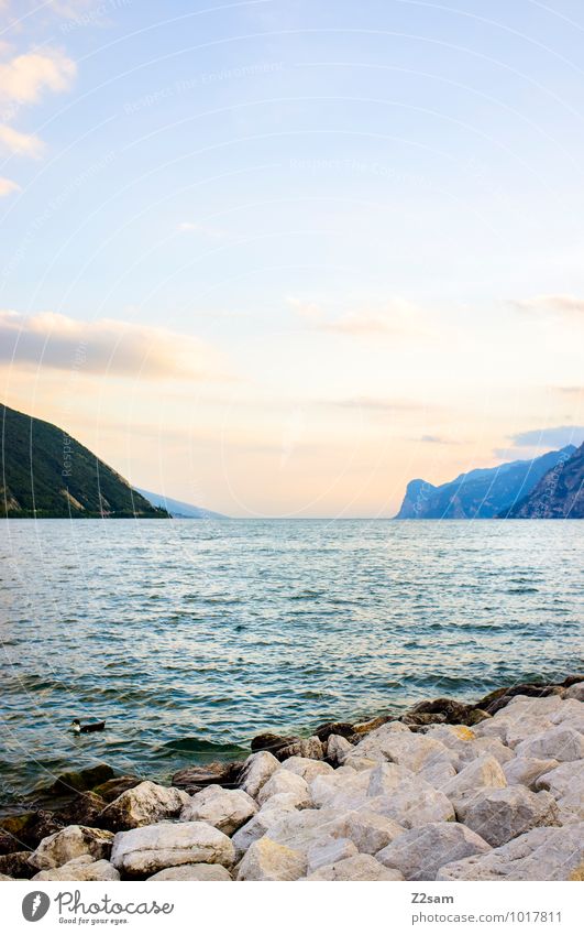 Lago di Garda Ferien & Urlaub & Reisen Sommer Sommerurlaub Winterurlaub Natur Landschaft Himmel Schönes Wetter Alpen Berge u. Gebirge Seeufer Gardasee