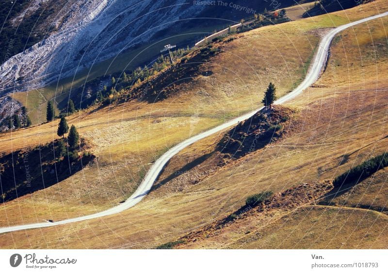 dieser Weg Berge u. Gebirge wandern Natur Landschaft Erde Herbst Schönes Wetter Baum Gras Wiese Hügel Felsen Alpen Wege & Pfade schön braun gelb grün Farbfoto