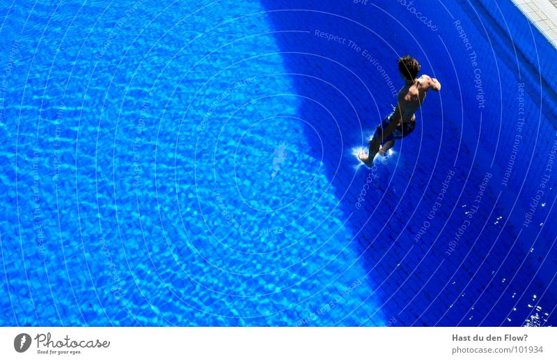 Wasserläufer braun grau nass Geschwindigkeit springen Schwimmbad Schwimmsportler Sprungbrett Turmspringer Mut Angsthase tauchen Bademeister Wellen Kerl Mann