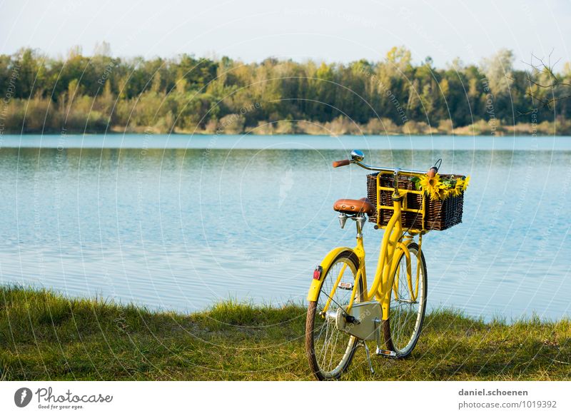 Saisoneröffnung Schwimmen & Baden Freizeit & Hobby Ausflug Fahrradtour Sommer Schönes Wetter Seeufer Erholung blau gelb grün Baggersee ruhig Farbfoto
