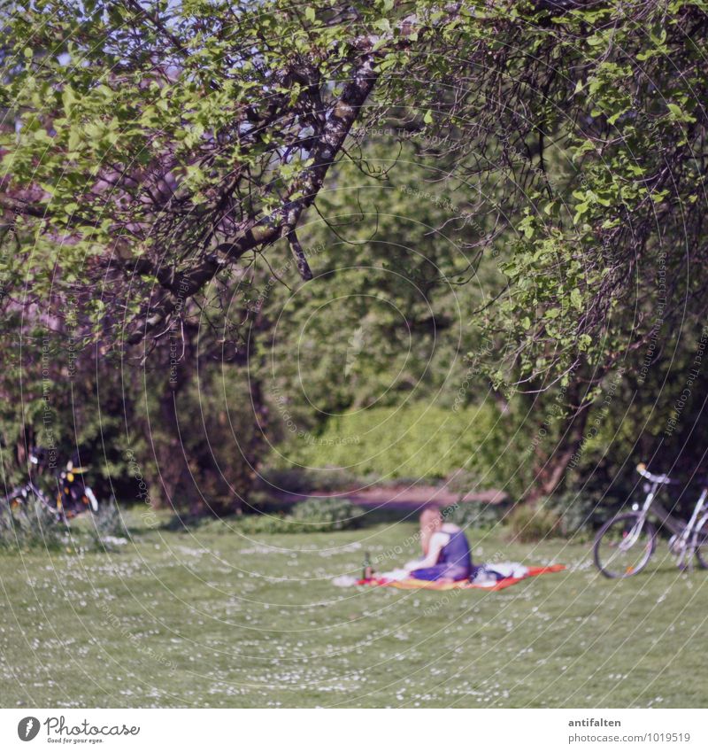 Sommer Essen trinken Lifestyle Freizeit & Hobby Ausflug Sonne Picknick Decke Fahrradfahren feminin Junge Frau Jugendliche Erwachsene Körper 1 Mensch 18-30 Jahre