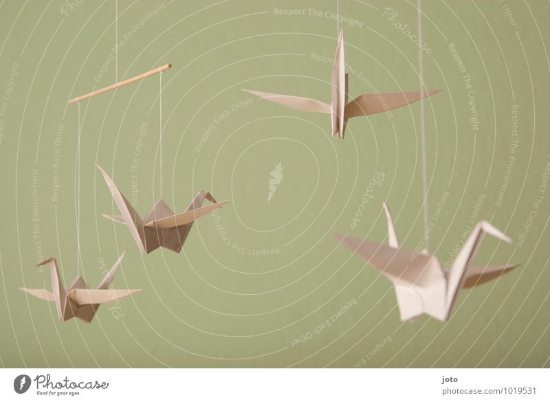 origami Design Zufriedenheit Erholung ruhig Taufe Kindheit Tier Vogel Papier fliegen hängen frei maritim modern nachhaltig Gelassenheit Mobilität träumen