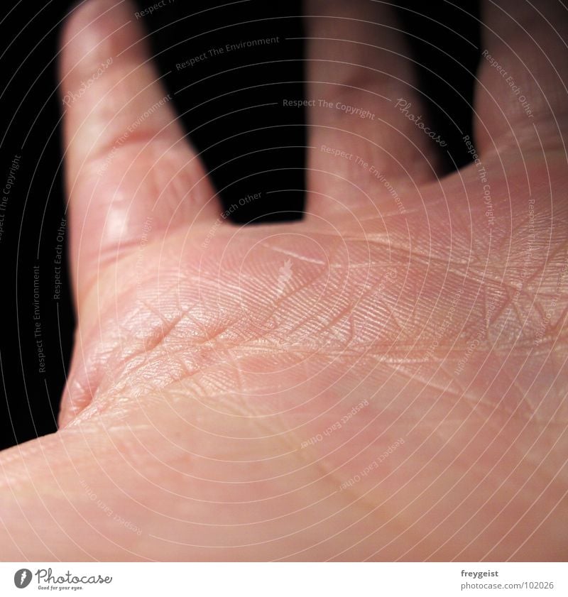 Skin to Skin Hand Organ Finger dunkel schwarz Hintergrundbild Detailaufnahme Haut skin austrecken hands Strukturen & Formen Blattadern fangen